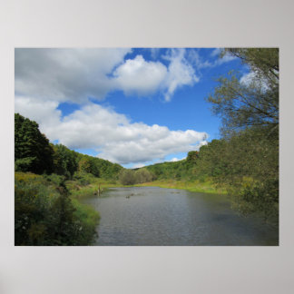 A pond poster
