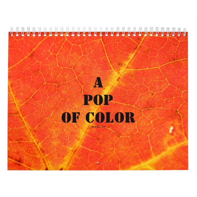 A Pop of Colour Calendar (Cover)
