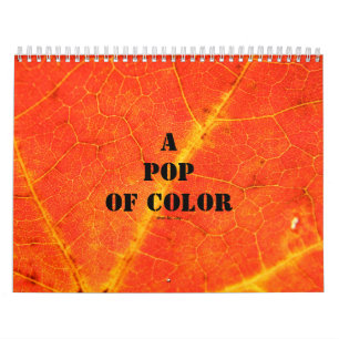 A Pop of Colour Calendar
