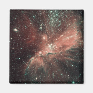 A population of infant stars in the Milky Way Magnet