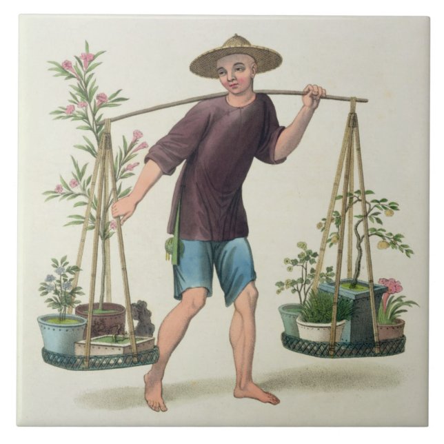 A Porter with Fruit Trees and Flowers, plate 16 fr Tile (Front)