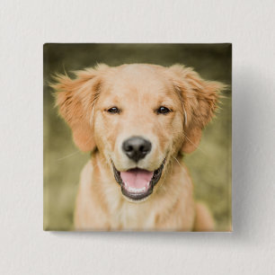 A Portrait Of A Golden Retriever Puppy 15 Cm Square Badge