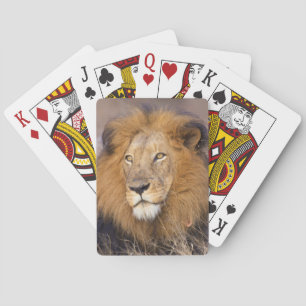 A portrait of a Lion looking into the distance Playing Cards