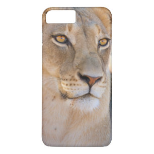 A portrait of a Lioness looking into the distance Case-Mate iPhone Case