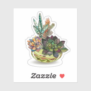 A Pot of Succulents