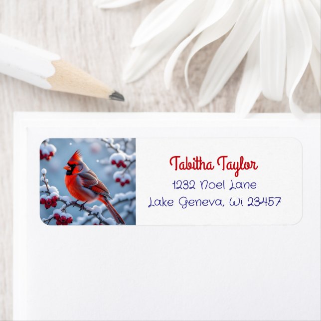 A Pretty Cardinal on a Snowy Branch Christmas (Insitu)