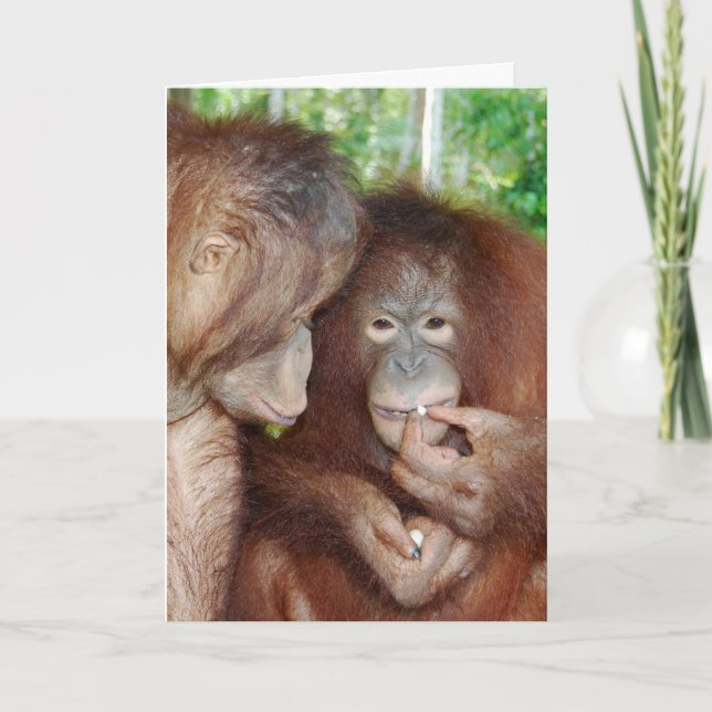 A Princess Gets All the Treats Card (Front)