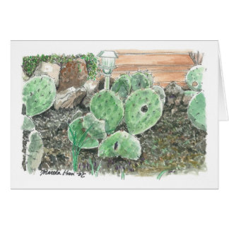 A private cactus garden
