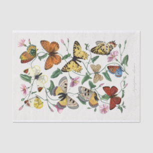 A Profusion of Butterflies Amidst Pink Flowers Tissue Paper