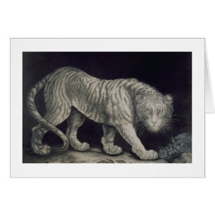 A Prowling Tiger (pencil on paper)