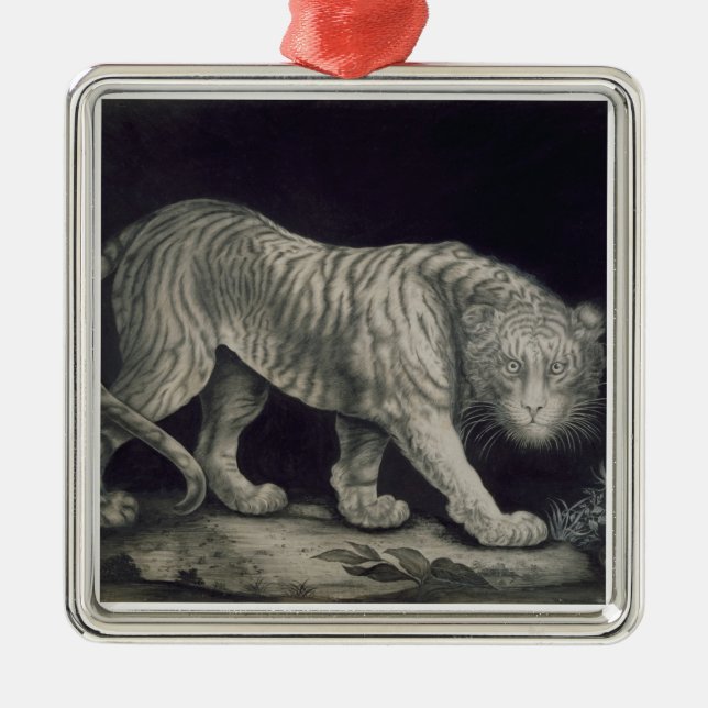 A Prowling Tiger (pencil on paper) Metal Tree Decoration (Front)
