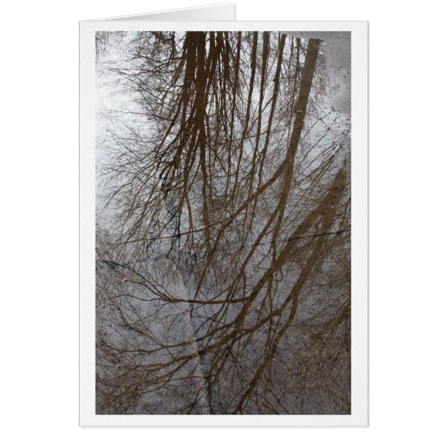 "A Puddle of Trees" - Photo Art (Front)