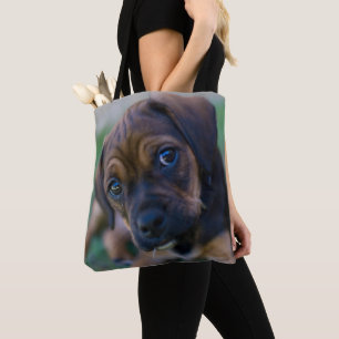 A Pug Cross Beagle Puppy (Puggle) Tote Bag
