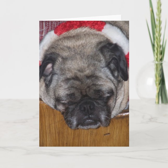 A Pug Dog's Christmas Card (Front)