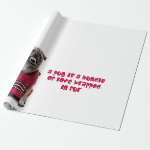 A Pug Is A Bundle Of Love Wrapped In Fur Wrapping Paper