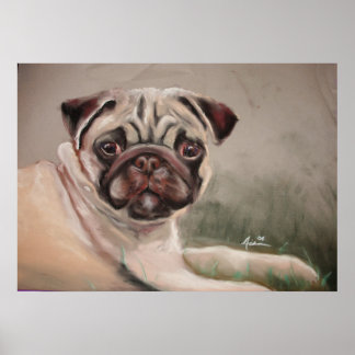 A Pug Reclining Poster