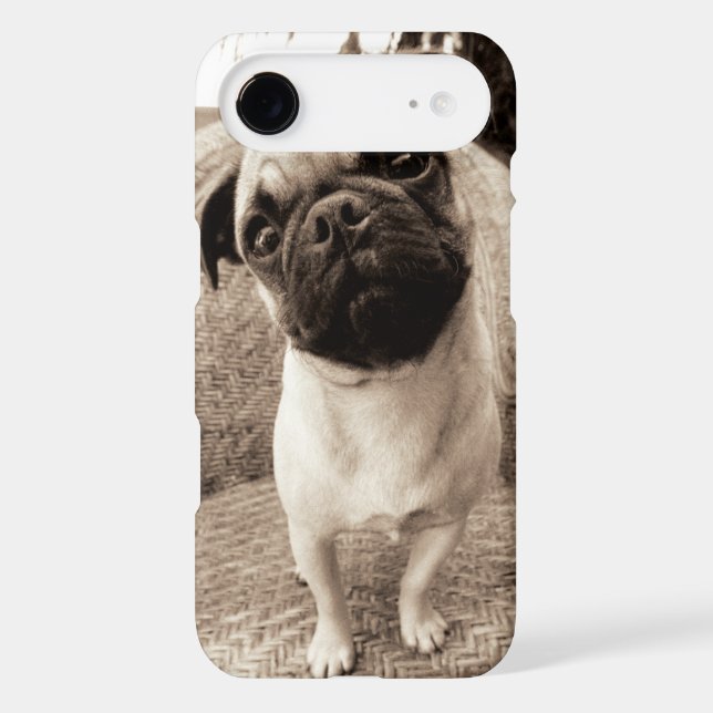 A Pug with its Head Titled to the Side Case-Mate iPhone Case (Back)