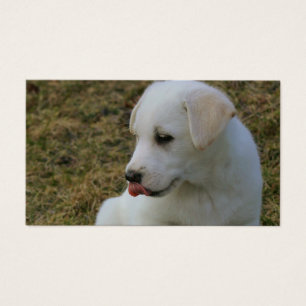 A Puppies Tongue