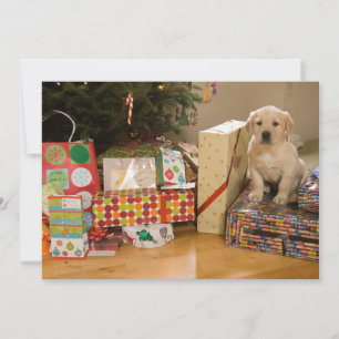 A puppy sits amongst Christmas presents Holiday Card
