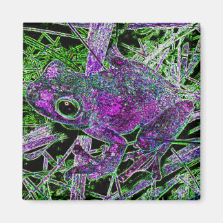 A Purple Frog in the Court Yard of Wonders Magnet