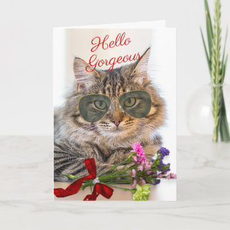 A Purrfect Anniversary with Gorgeous Cat in Shades Card