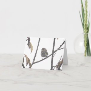 A Quiet Moment, Just for You Note cards