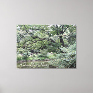 A Quiet Place to Read by water, under trees on a Canvas Print