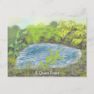 A Quiet Pond Postcard