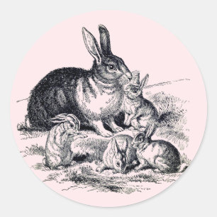 A rabbit family - vintage illustration classic round sticker