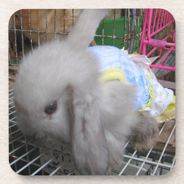 A Rabbit in a Dress Coaster (Front)