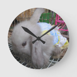 A Rabbit in a Dress Round Clock