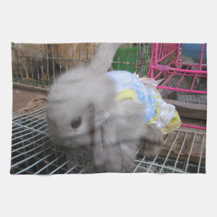 A Rabbit in a Dress Tea Towel