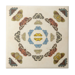 A Rare Depiction of Butterflies and Moths Tile