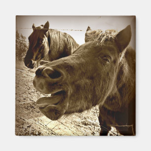 A Real Friend Magnet