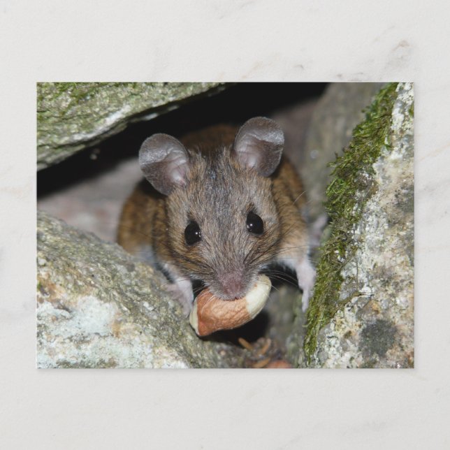 A real mouthful postcard (Front)