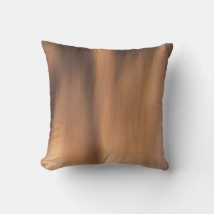 A red flame like display at the Northern Lights. Cushion