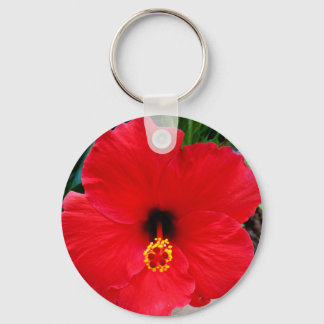 A Red Hibiscus Flower Keychain
