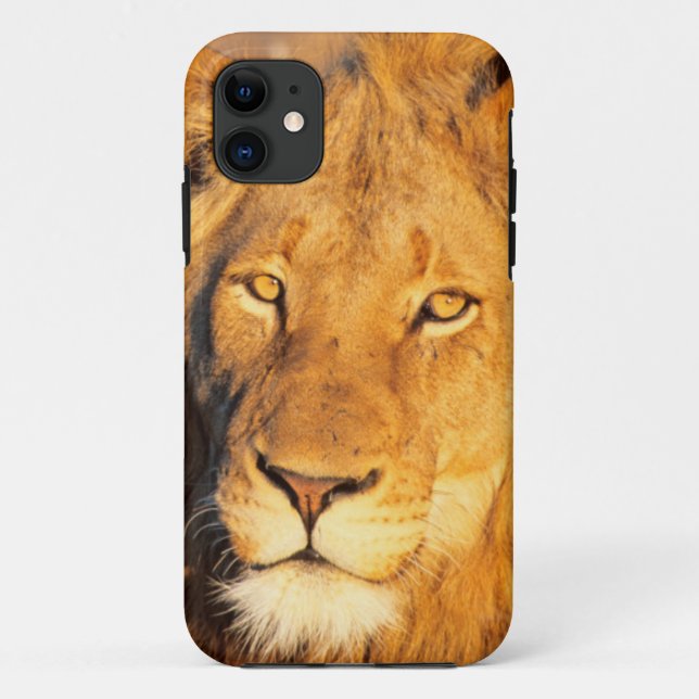 A Red Maned Lion looking at the camera. Case-Mate iPhone Case (Back)