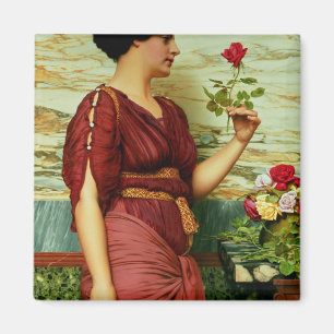 A red, red rose magnet