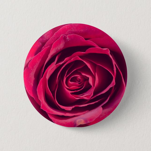 A red rose 6 cm round badge (Front)