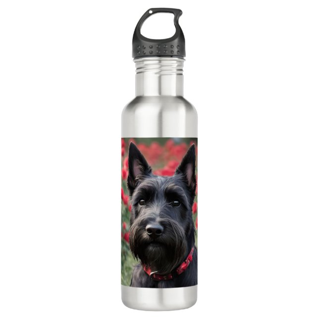 "A Red Rose for the Black Scottish Terrier" 710 Ml Water Bottle (Front)