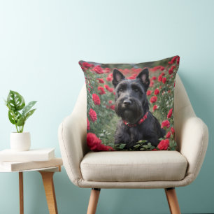 "A Red Rose for the Black Scottish Terrier" Cushion