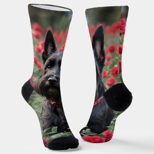 "A Red Rose for the Black Scottish Terrier" Socks (Angled)