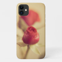 A red rose for your sweetheart…