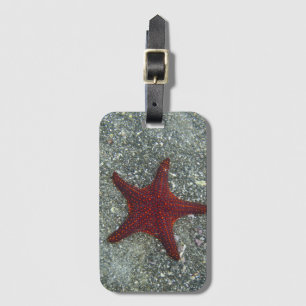A Red Starfish Galapagos, Equador Luggage Tag
