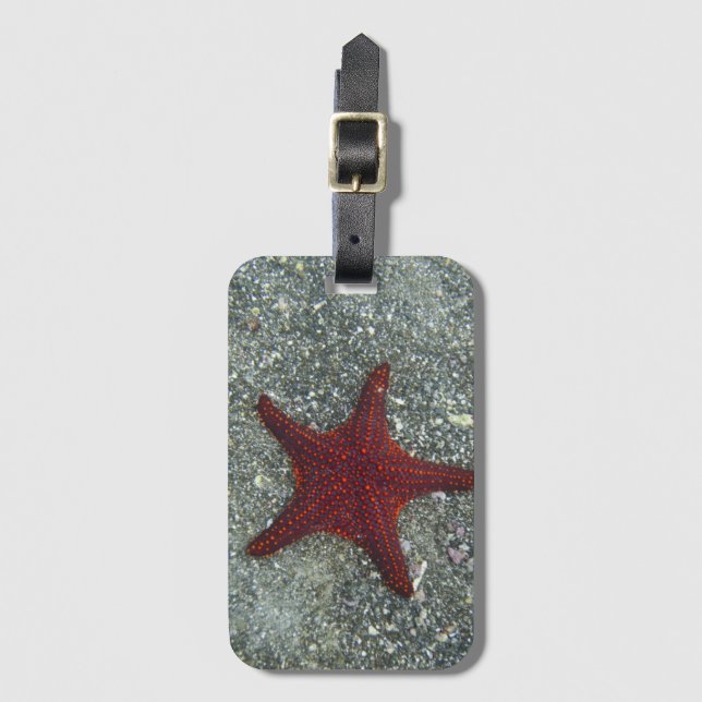 A Red Starfish | Galapagos, Equador Luggage Tag (Front Vertical)