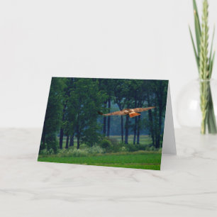 A Red Tailed Hawk In Flight Card
