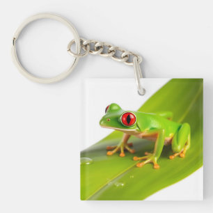 A Redeye Tree Frog Key Ring