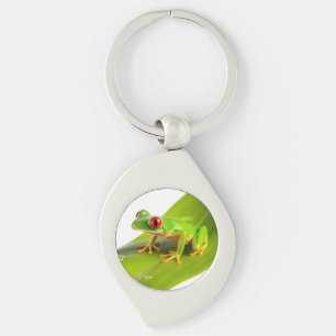 A Redeye Tree Frog Key Ring
