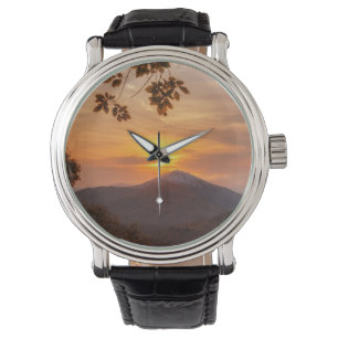 A refined clock watch